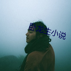 卧龙(龍)生小(小)说