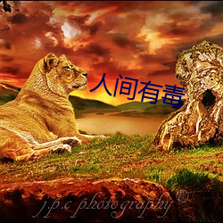人间有毒