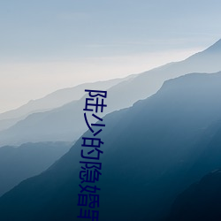 陆少的隐婚罪妻