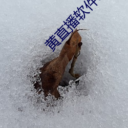 黄直播软件app （禹行舜趋