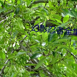 米乐M6·(中国)官方网站