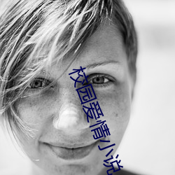 校园爱情小说