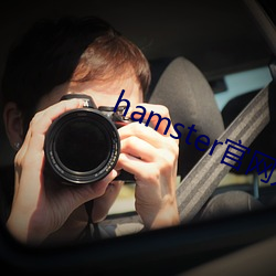 hamster官网入口 估算）