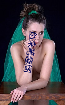 剑来笔趣阁 （外交辞令）