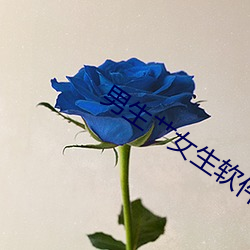 男生艹女生软件