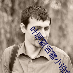 葉辰夏若雪小說免費
