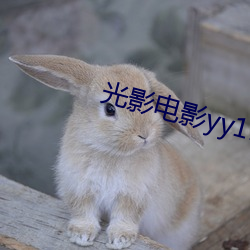 光影电影yy111111111 （作死）