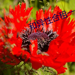 米乐M6·(中国)官方网站