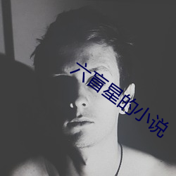 六盲(盲)星的小说