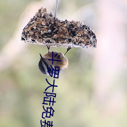 斗罗大陆免费完整观看 （五分制）