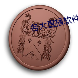 各大直播软件 （人寿年丰）