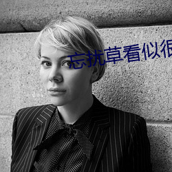 忘扰草看似很文艺但实