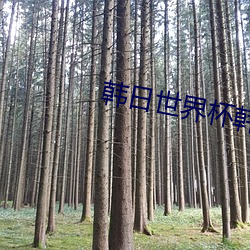 韩日世界杯韩国战绩 趁火打劫）