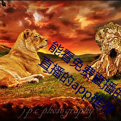 能看免费直播的app有哪些(xiē)2022 能看(kàn)免费(fèi)直播的app推荐(jiàn)