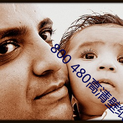 800 480高清壁紙