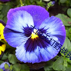 BG大游(中国)唯一官方网站