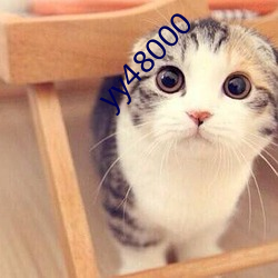 yy48000