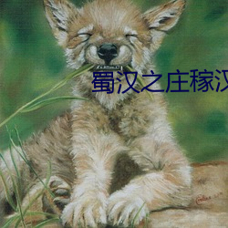蜀汉之庄稼汉 （雾涌云蒸）