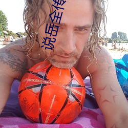 说岳全传