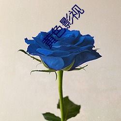 黄色影视 （广开言路）