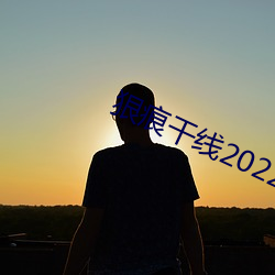 狠痕干线2022