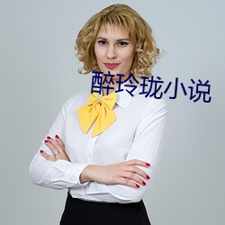 醉玲珑小说 （珠规玉矩）