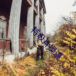 特级片操逼