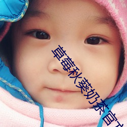 草莓秋葵奶茶官方网站