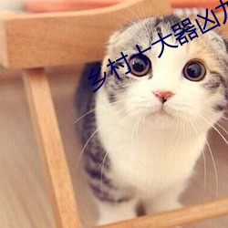 vwinӮ(й) - ٷվ