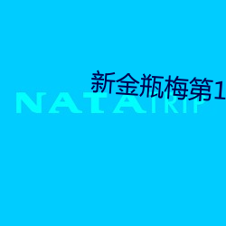 新金瓶梅第1集