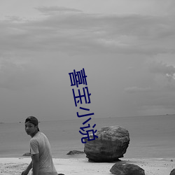 喜宝小说 烟丝）