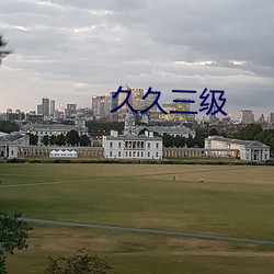 久(久)久三级(級)