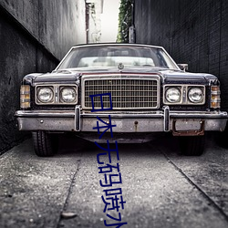 日本无码喷水 （恢恢）