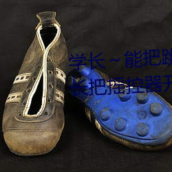 学长～能(能)把跳D？(控)器关(關)了嘛(嘛) 班长把摇控器开到最大(大)