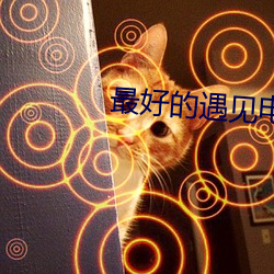 最好的遇见电视剧