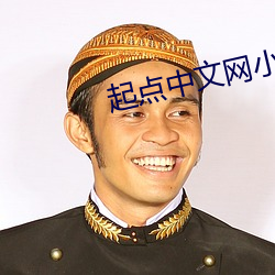起点中文网小说