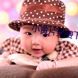 小黄片(piàn)免费下载
