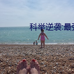 科舉逆襲:最強女首輔寶妝成