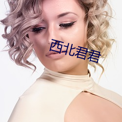 西北君君 （视同拱璧）