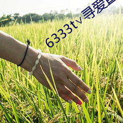 6333t∨寻爱直播