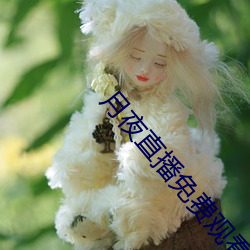 月夜直播(bō)免(miǎn)费观看