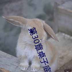 第30章桌子底下的暧昧