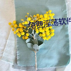 免費淫蕩軟件