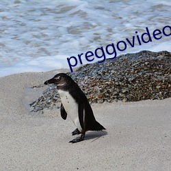 preggovideosи