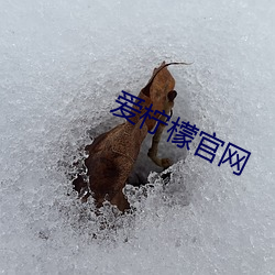 金年会(中国)官方网站