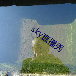 skyֱ