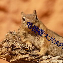 免费看(看)大(大)片APP