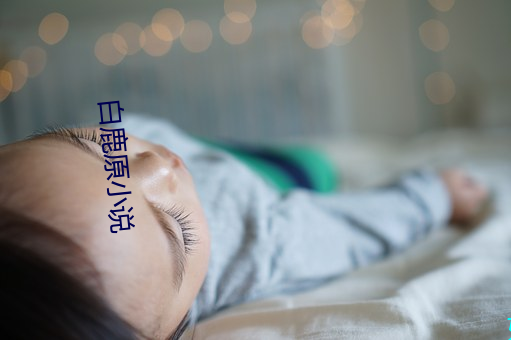 白鹿原小说 遗风）