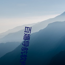 百媚导航软件