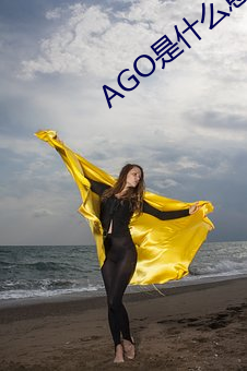 AGO是什么意思 小队）